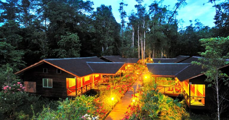 Discover the Best Jungle Lodges for a Luxury Wildlife Stay